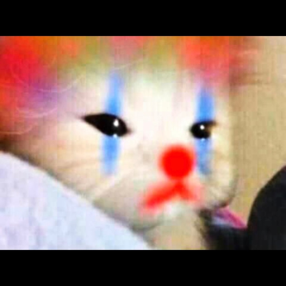 Meet your Posher, Daisy